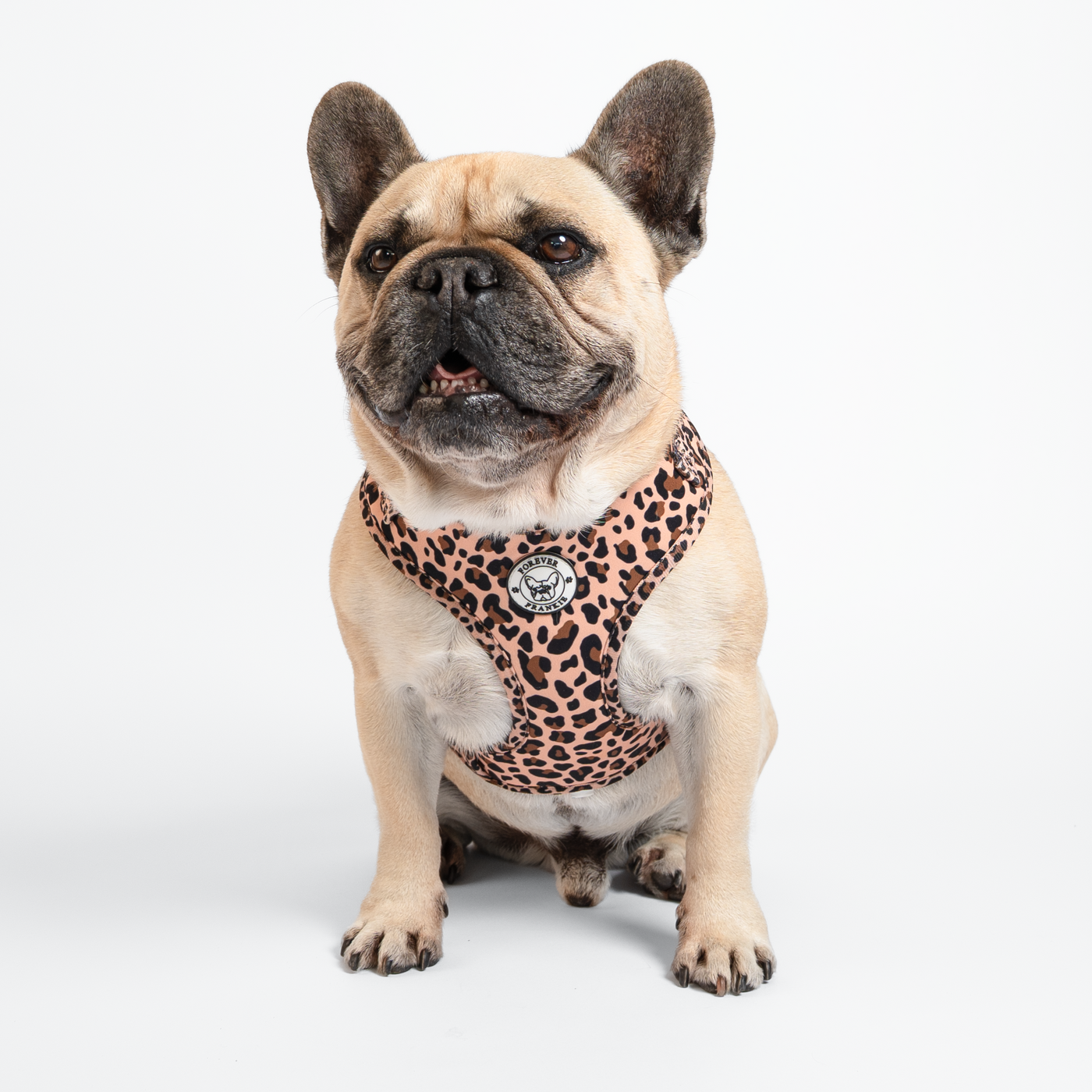 Born to be Wild - Adjustable Harness