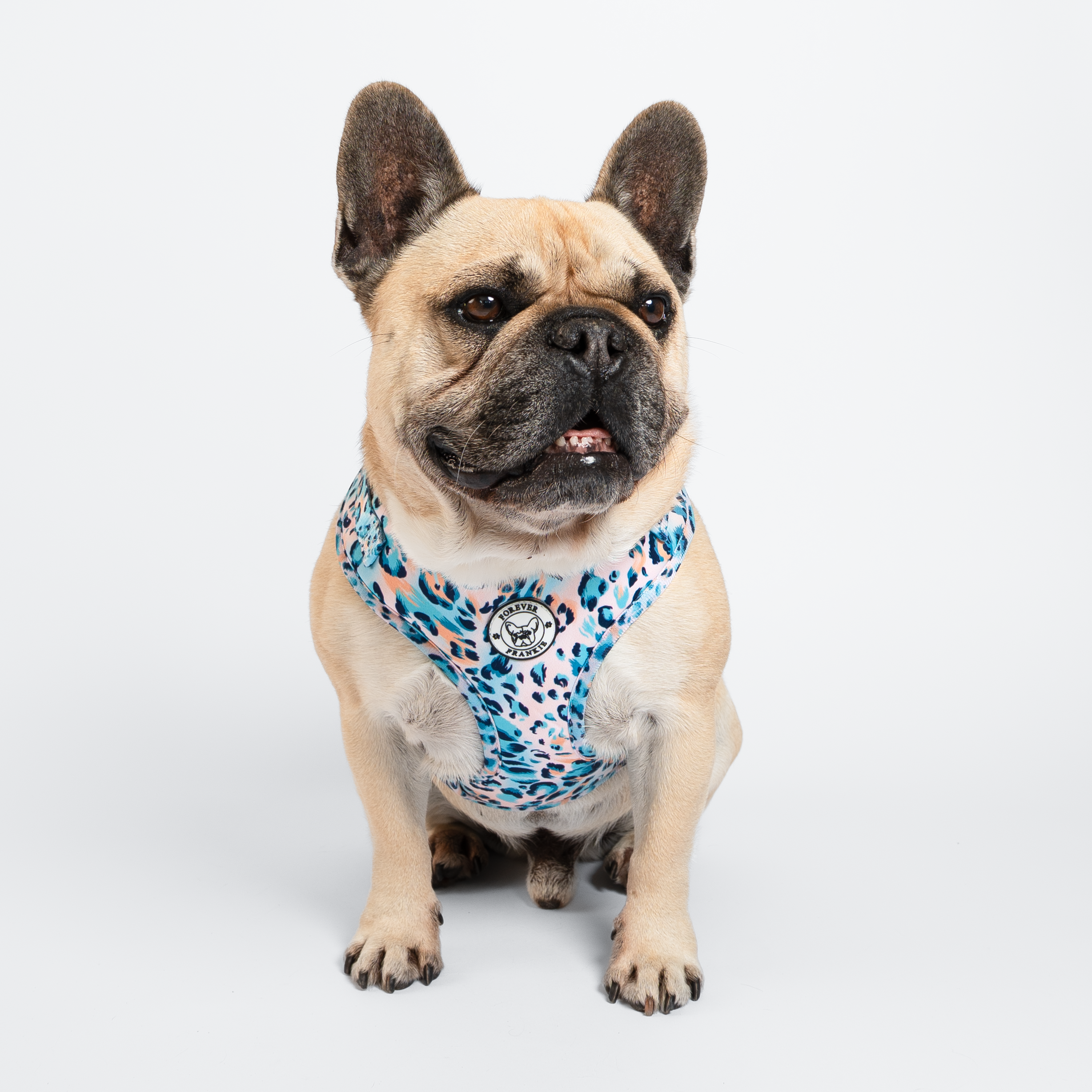 Jungle Fever - Adjustable Harness