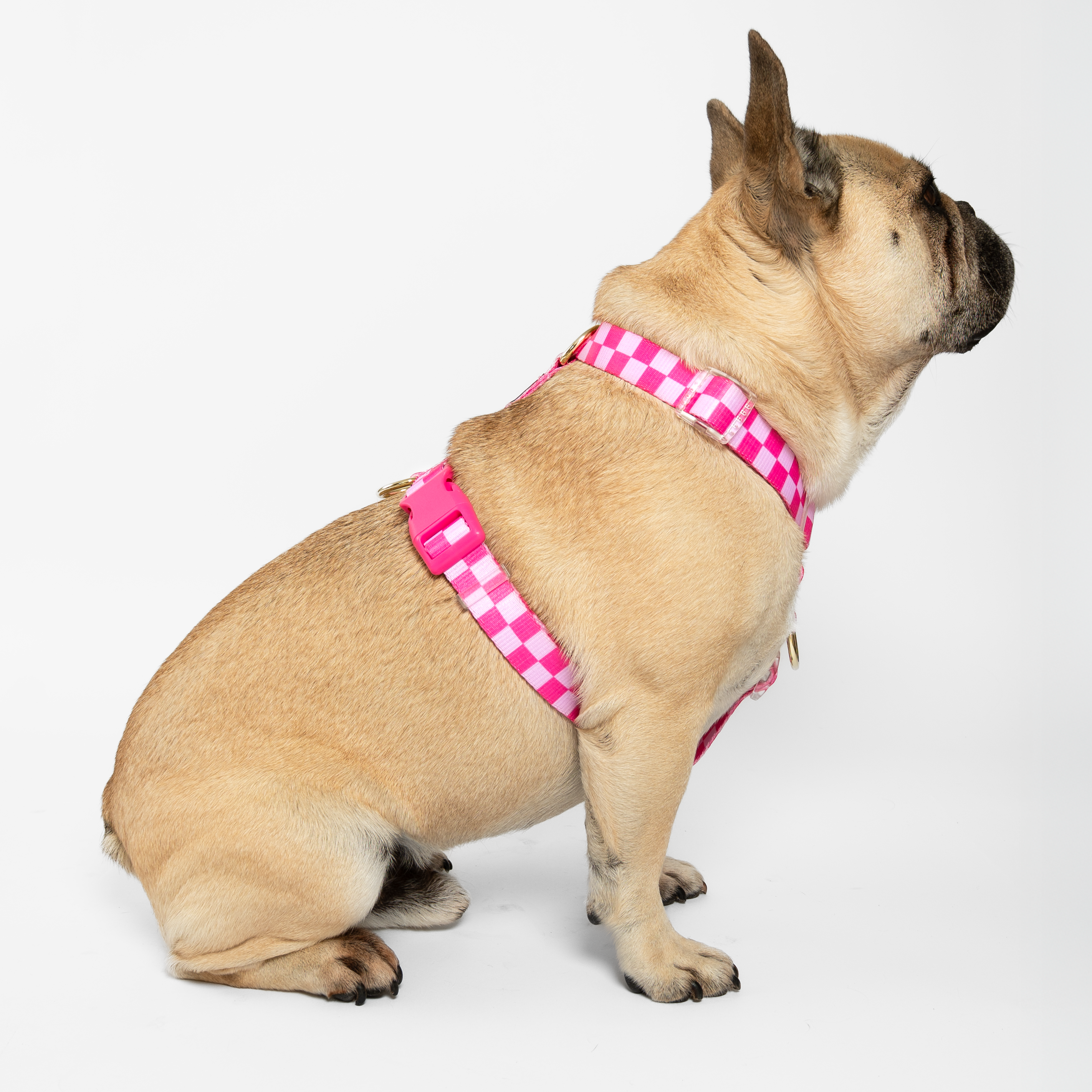 Pink Lemonade Check - Luxe Strap Harness