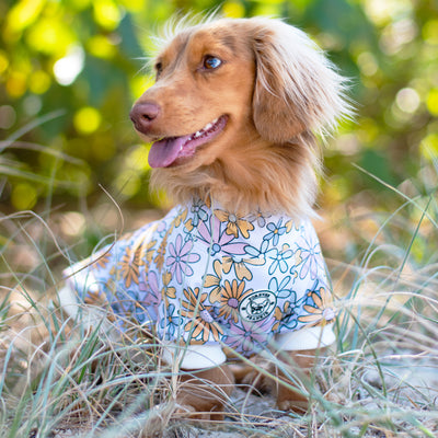 Floral Blooms Dog Skivvie (Limited Edition)