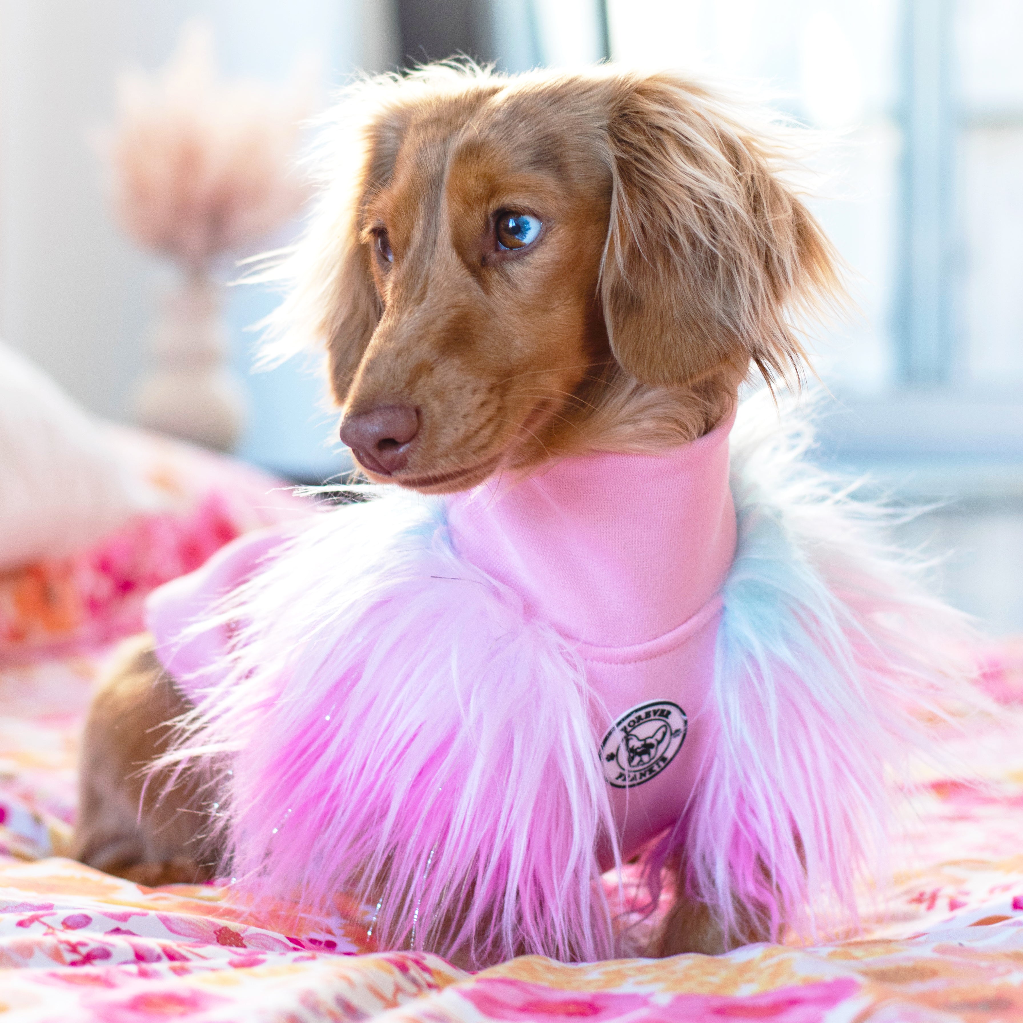 LUXE - Unicorn Rainbow- Dog Skivvie (Limited Edition)