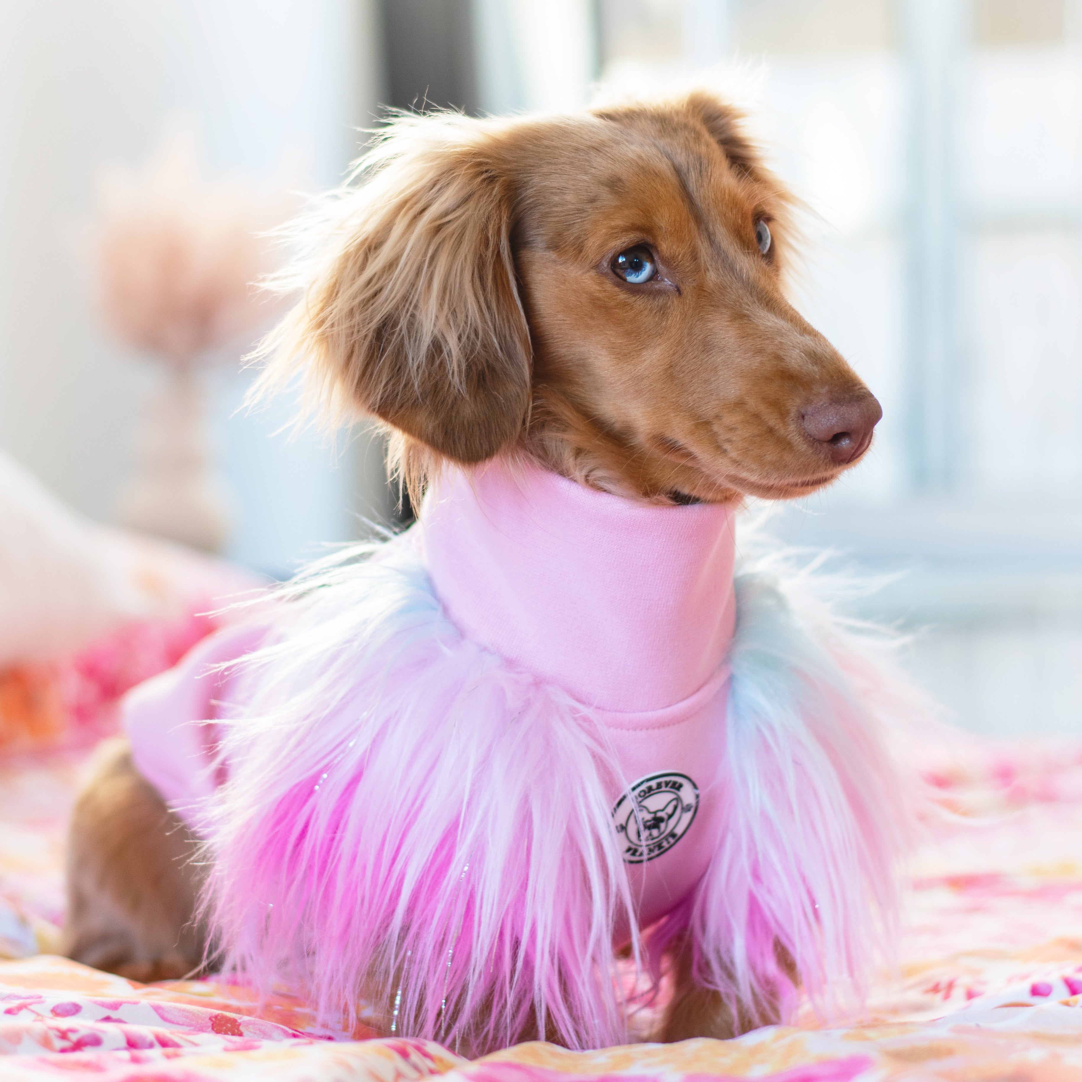 LUXE - Unicorn Rainbow- Dog Skivvie (Limited Edition)