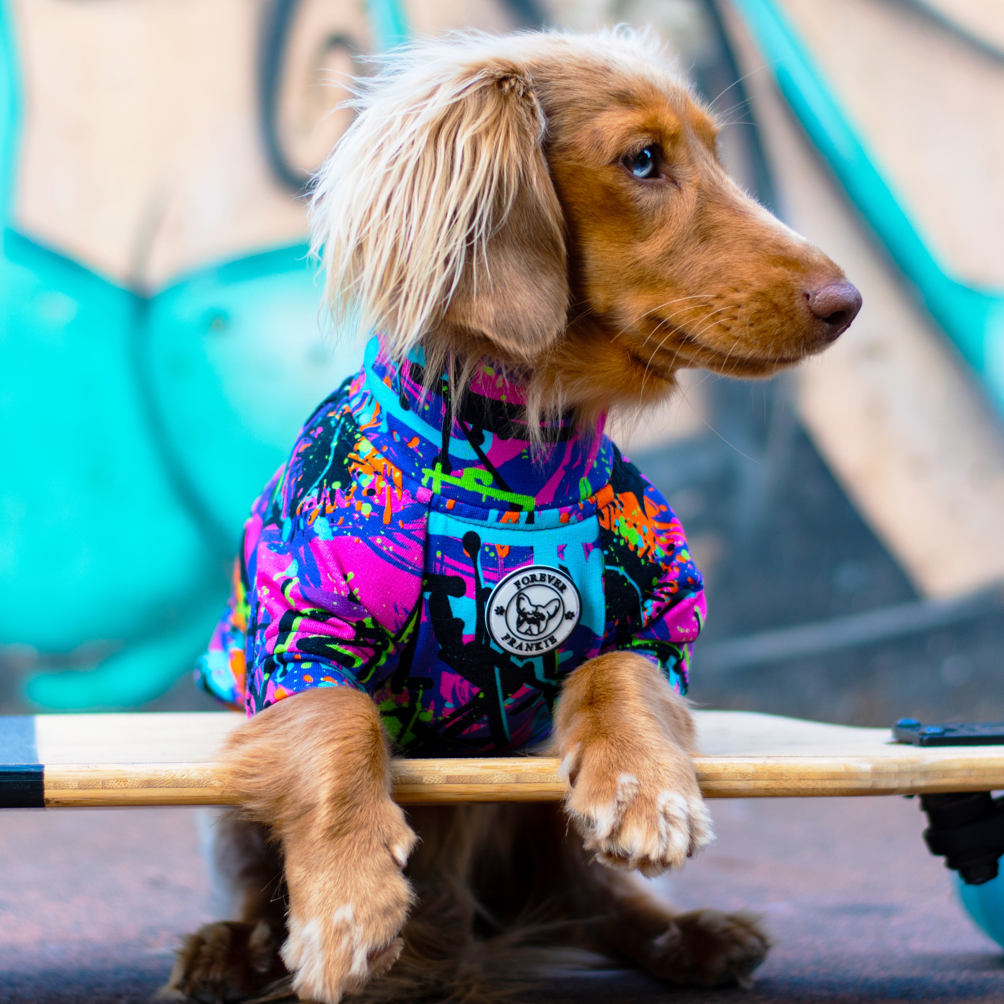 Graffiti Pop Dog Skivvie (Limited Edition)