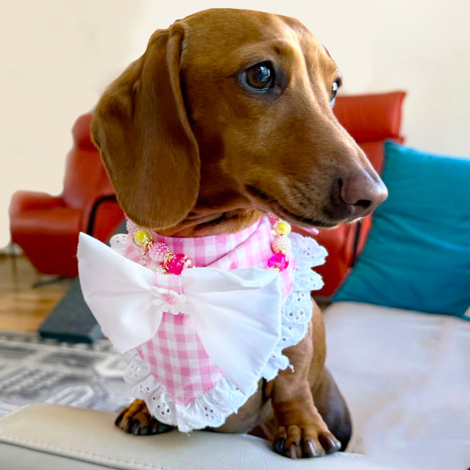 Pink Gingham Bandana