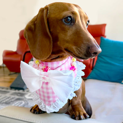 Pink Gingham Bandana