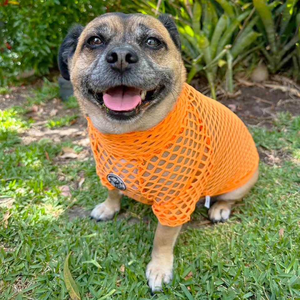 Luxe- Tangerine Tango Net Skivvy