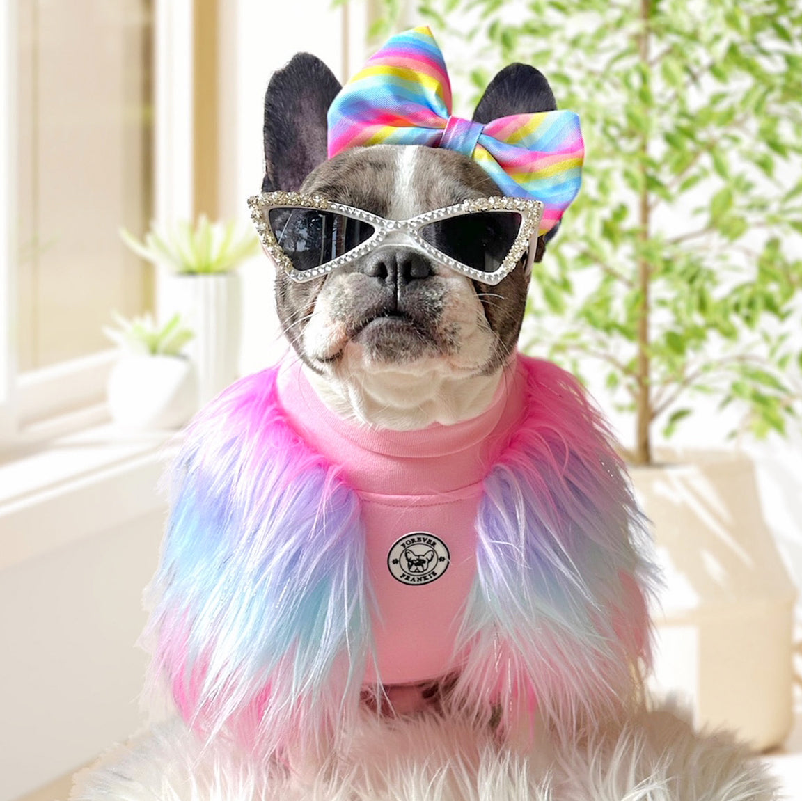 LUXE - Unicorn Rainbow- Dog Skivvie (Limited Edition)