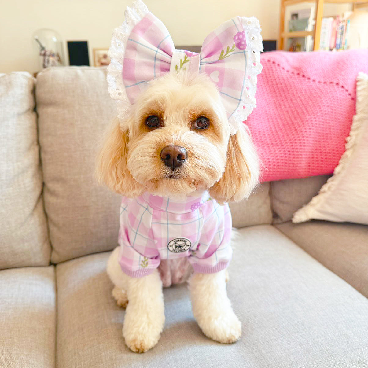 Luxe-Gingham Lavender Dream Dog Skivvy