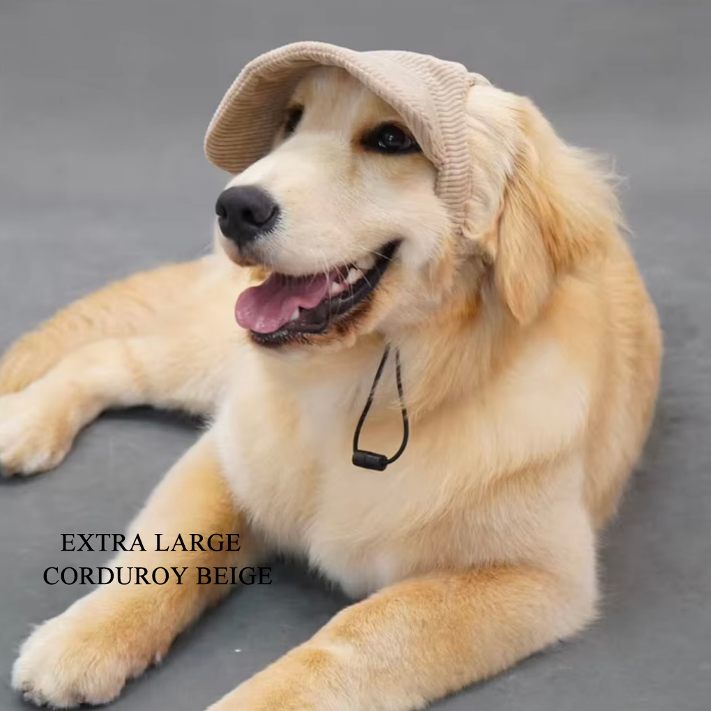 Corduroy Dog Cap - Beige
