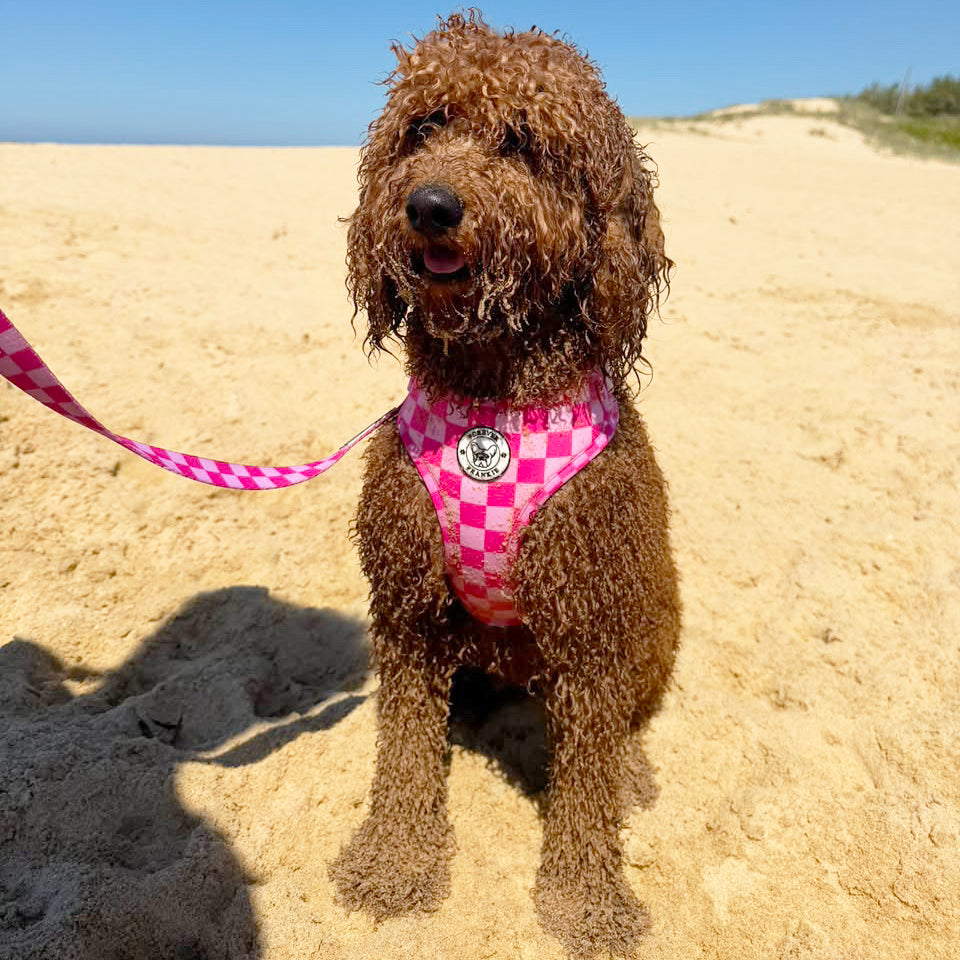 Pink Lemonade Check - Adjustable Harness