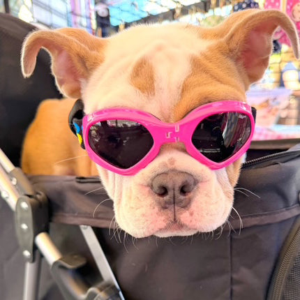 Dog Sun Doggles PINK.