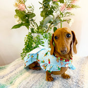 Dashie Christmas - Ruffles Dog Dress  (Limited Edition)