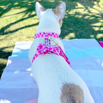 Pink Lemonade Check - Luxe Strap Harness