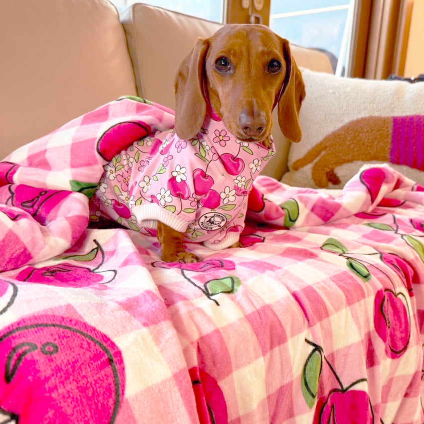 Cherry Delight - Extra Soft Pet Blanket