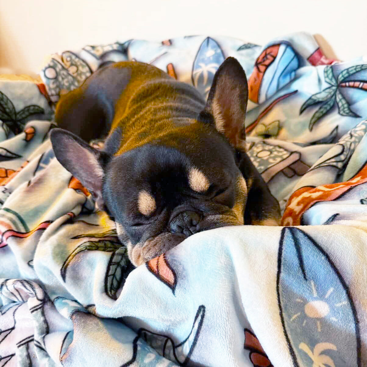 Surfs Up - Extra Soft Pet Blanket