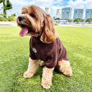 Cocoa Cord - Dog Skivvy