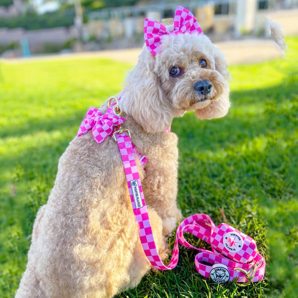 Pink Lemonade Check - Adjustable Harness