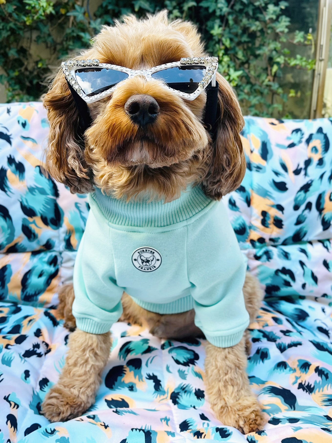 Mint Dog hoodie!!!-not skivvy!