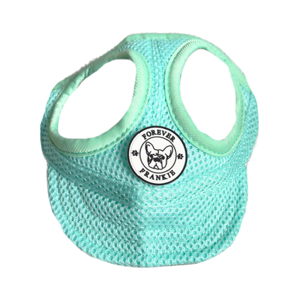 Mesh Dog Cap - Mint