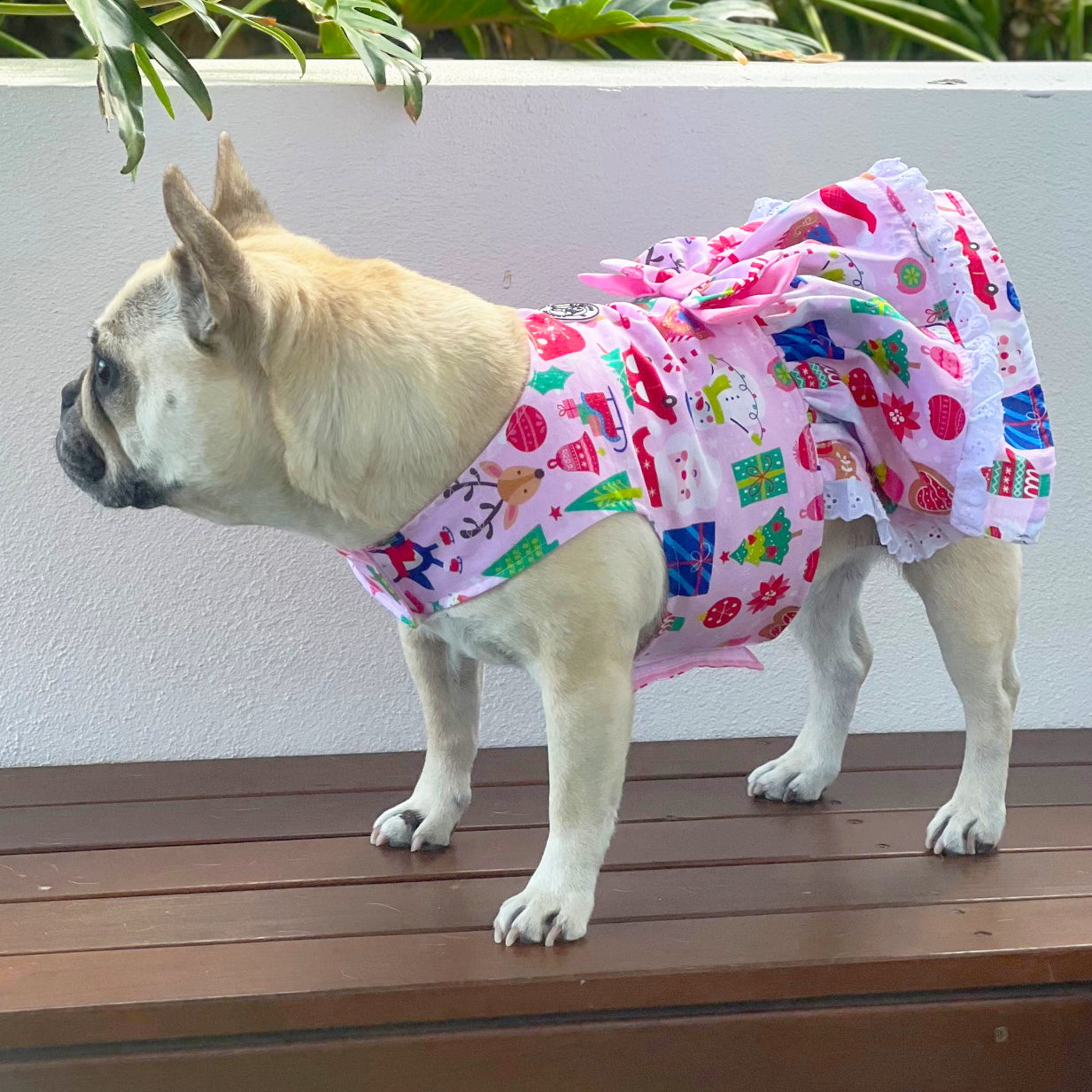 Sugarplum Parade - Christmas Dog Dress (End of Line)