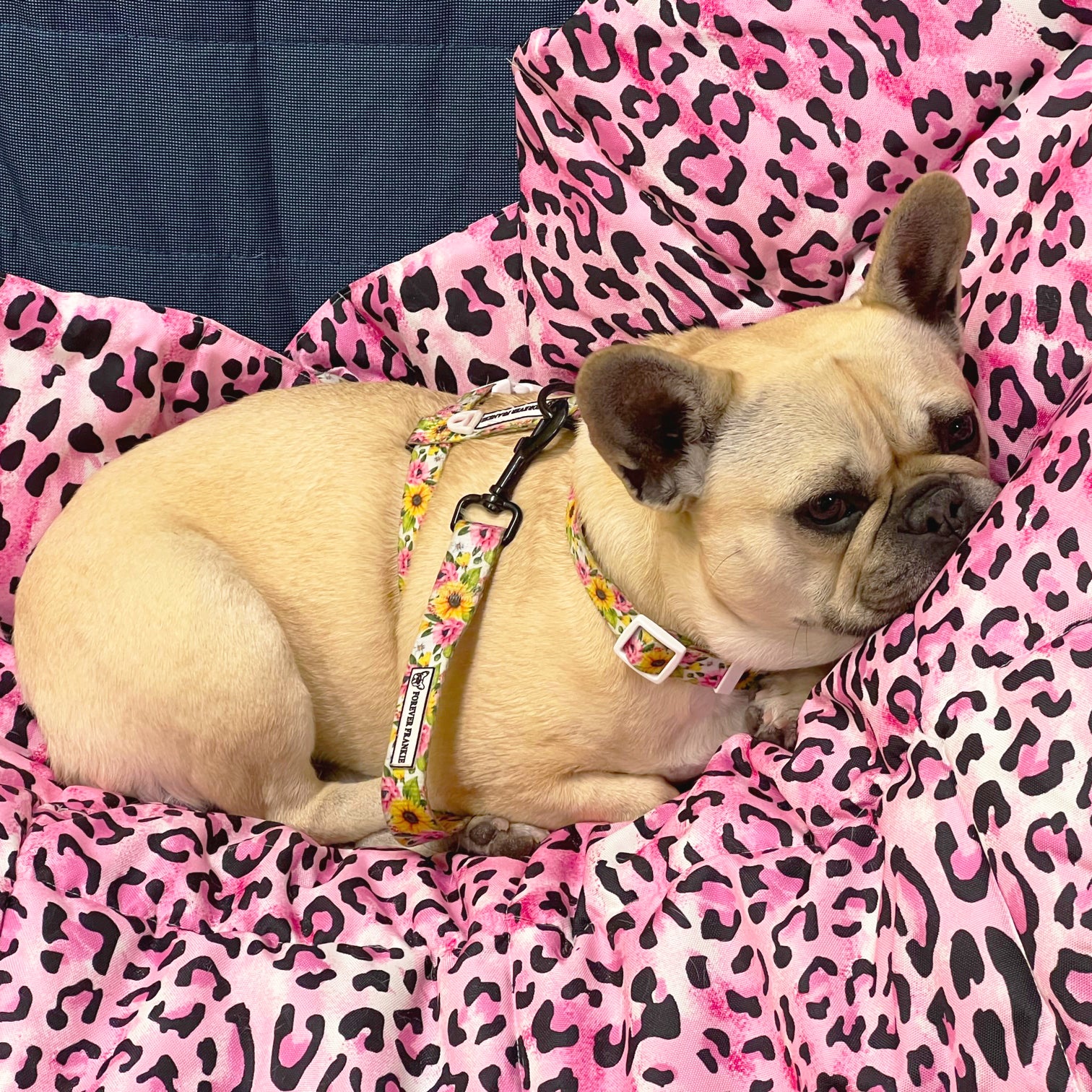 Pink Leopard - Adventure Mat