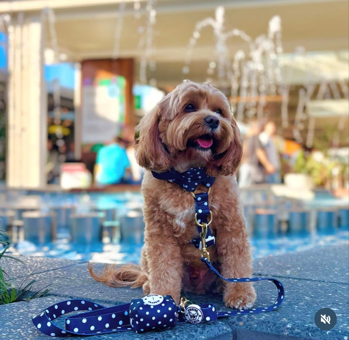 Navy Polka Dot - Luxe Strap Harness