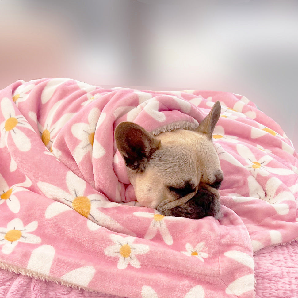 Daisy Chain - Extra Soft Pet Blanket