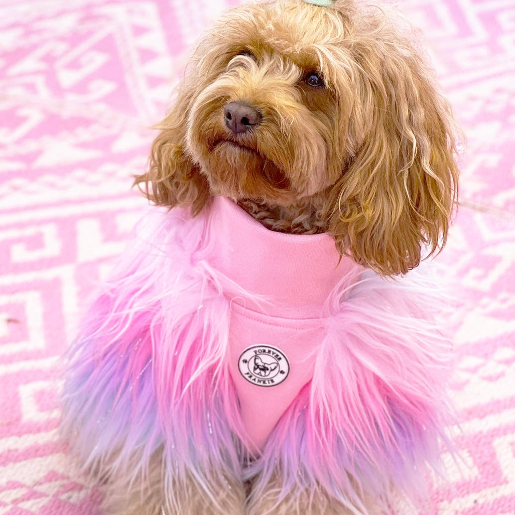 LUXE - Unicorn Rainbow- Dog Skivvie (Limited Edition)