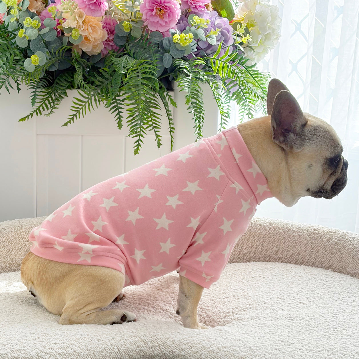 Pink Star - Dog Skivvy (Limited Edition)