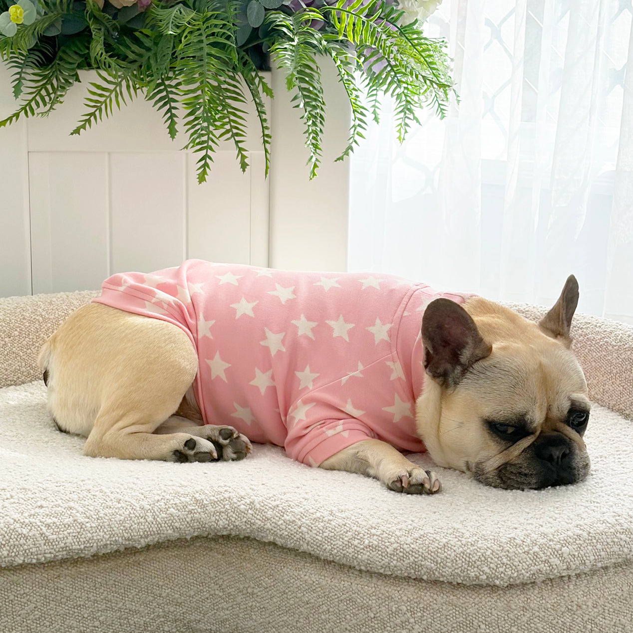 Pink Star - Dog Skivvy (Limited Edition)