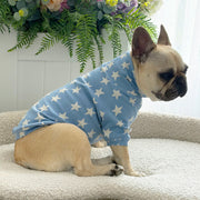 Denim Star - Dog Skivvy (Limited Edition)