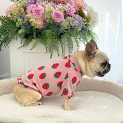 Berry Blush - Dog Skivvy (Limited Edition)