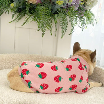 Berry Blush - Dog Skivvy (Limited Edition)