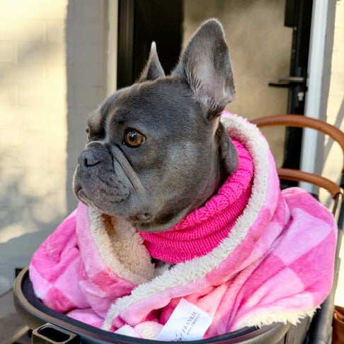 Pink Lemonade - Extra Soft Pet Blanket