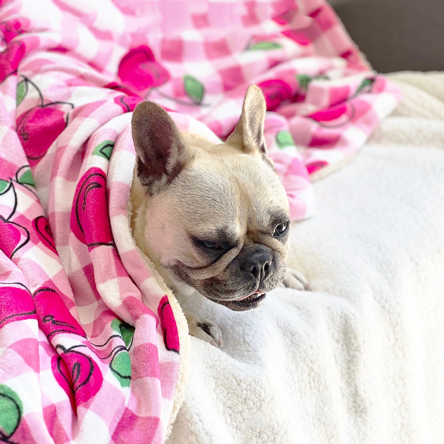Cherry Delight - Extra Soft Pet Blanket