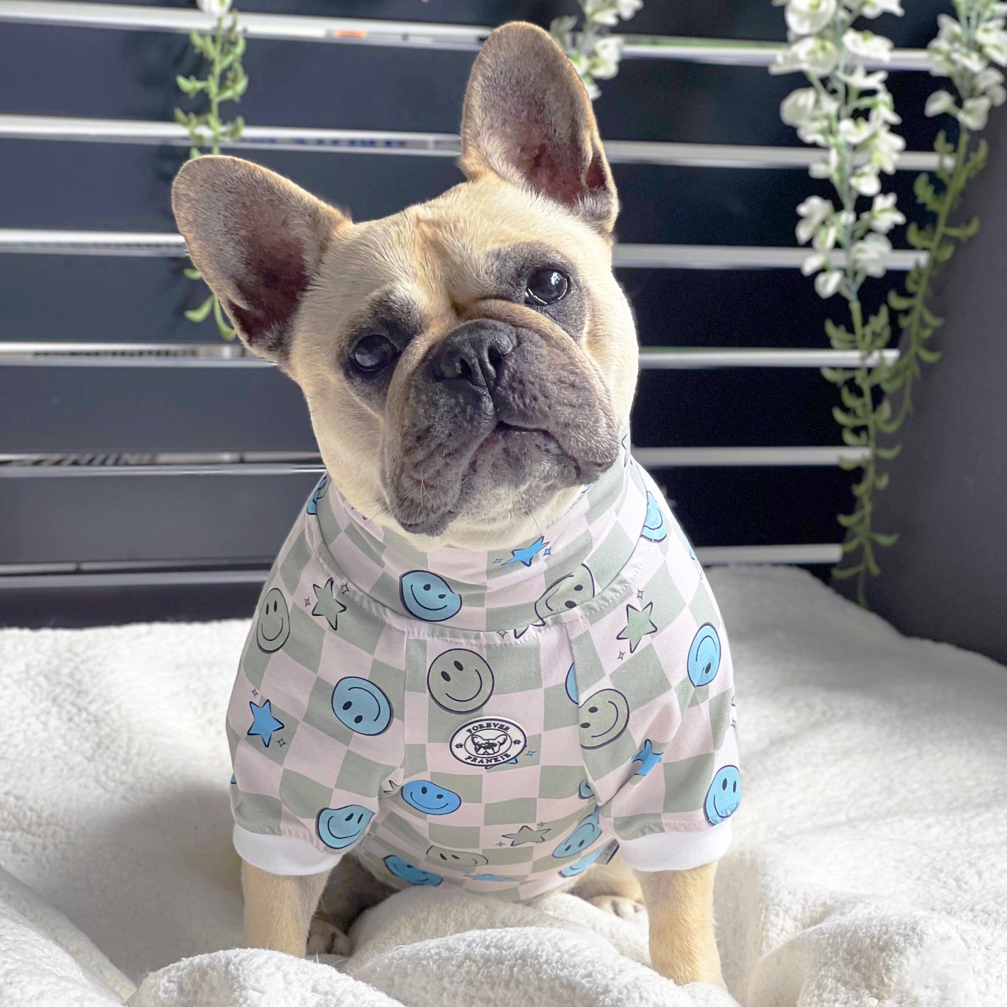 Luxe-Serene Smiles Dog Skivvy