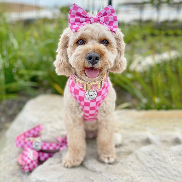 Pink Lemonade Check - Adjustable Harness