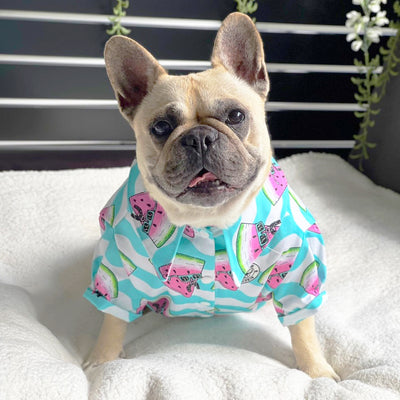 Watermelon - Party Shirt