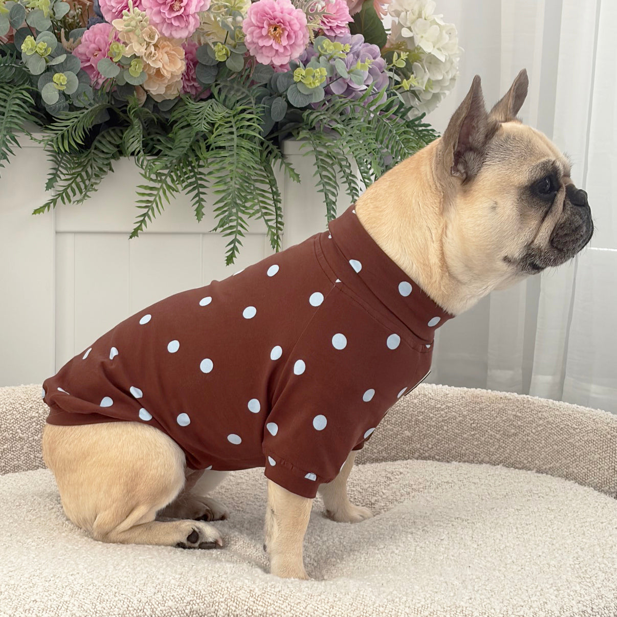 Brown with Blue Spot - Dog Skivvy