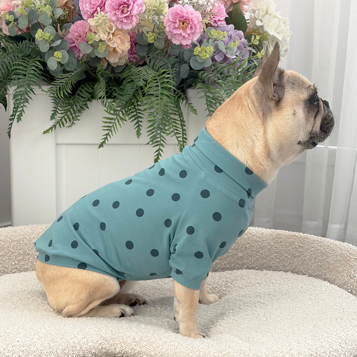 Green with Green Spots - Dog Skivvy