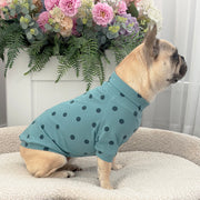 Green with Green Spots - Dog Skivvy