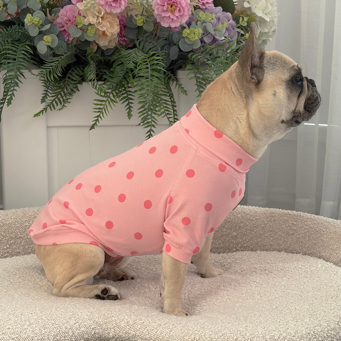Pink with Pink Spots - Dog Skivvy