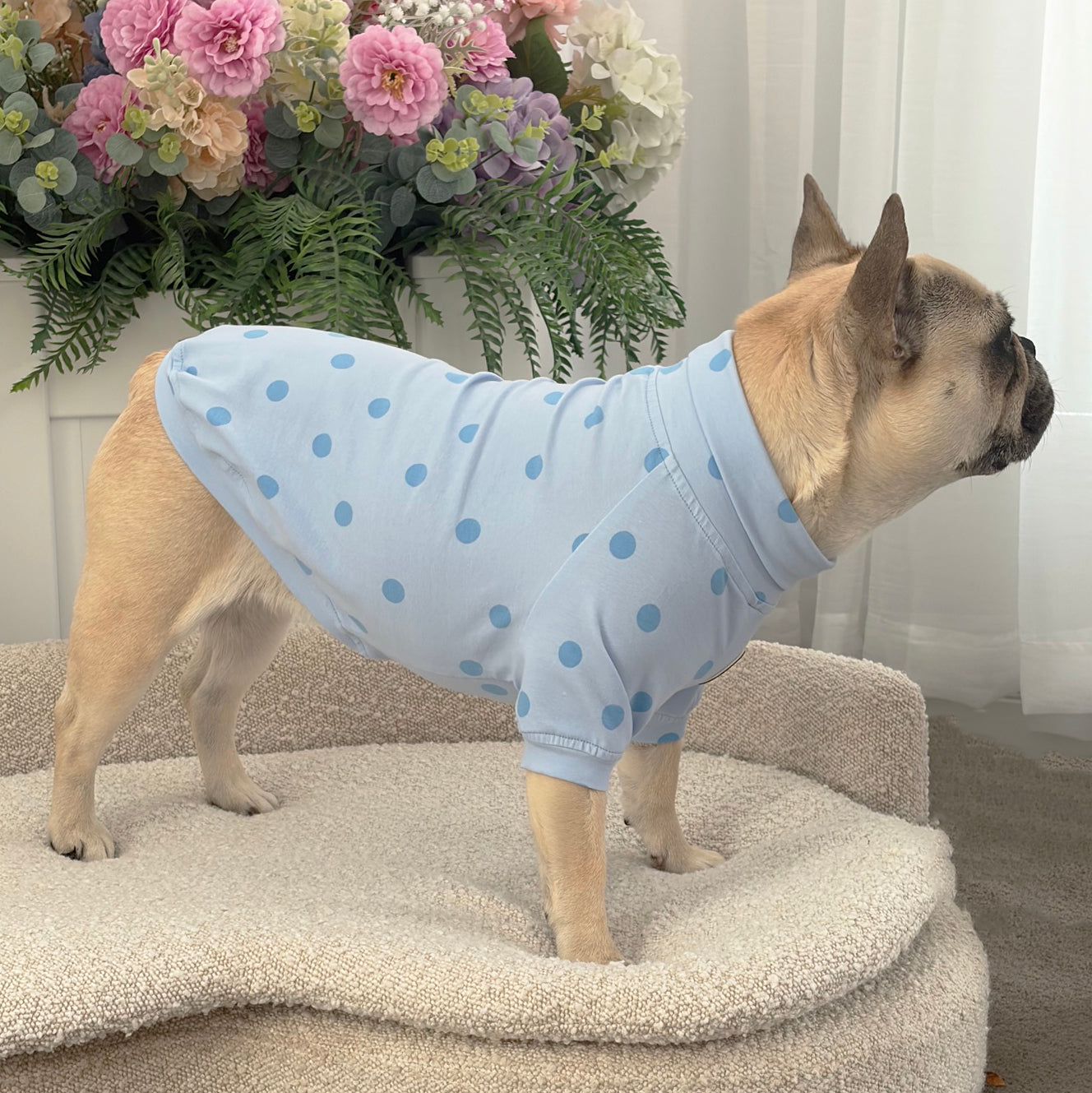Blue Spotty - Dog Skivvy