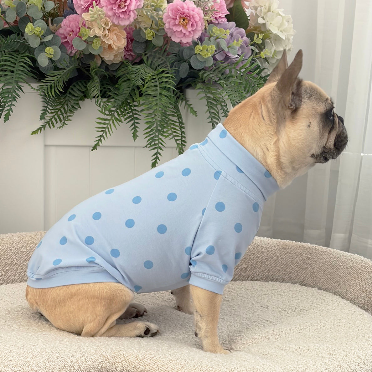 Blue Spotty - Dog Skivvy