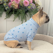 Blue Spotty - Dog Skivvy