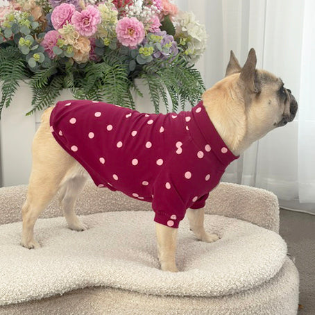 Burgandy with Pink Spots - Dog Skivvy