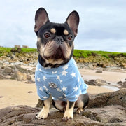 Denim Star - Dog Skivvy (Limited Edition)