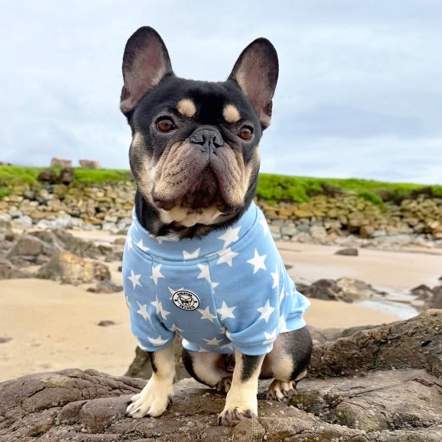 Denim Star - Dog Skivvy (Limited Edition)