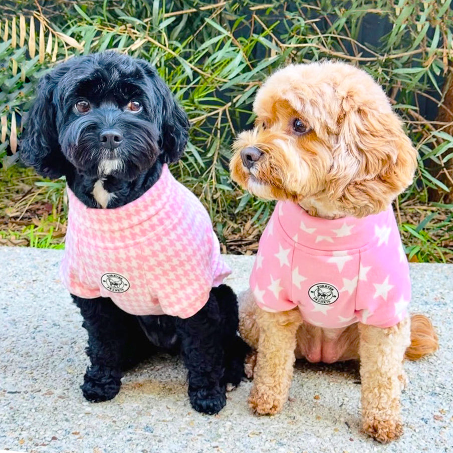 Pink Star - Dog Skivvy (Limited Edition)