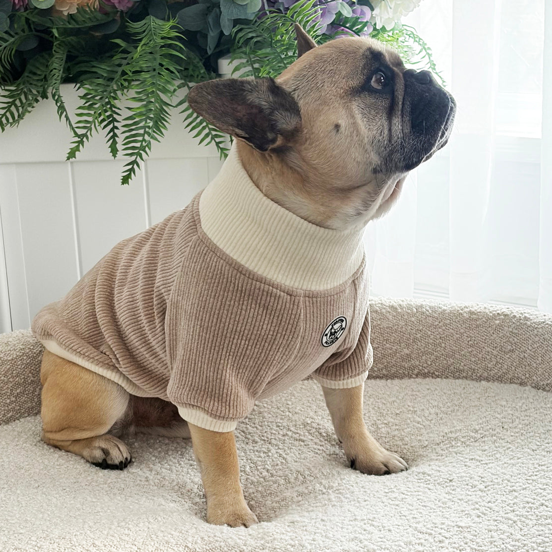 Fawn and Cream Cord - Dog Skivvy